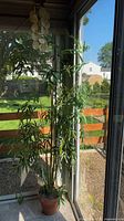 Full view of artificial bamboo plant in corner with planter