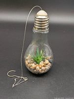 Full view of glass lightbulb terrarium with hanging wire