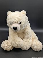 Front view of cream plush teddy bear