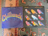 Both LP sleeves side by side on rug