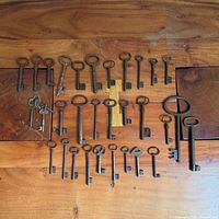 All 32 keys laid out on wood background in rows