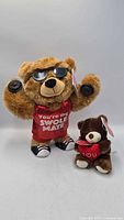 Both bears front view showing tags, clothing, accessories