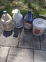 Four containers lined up outdoors: HDX muriatic acid jug, bleach jug, Zep floor stripper jug, tile primer tub