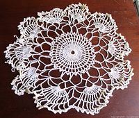 full view of crochet doily showing overall pattern and edges