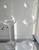 Front view of both crystal grappa glasses upright