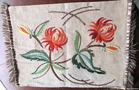 Full view of pillow sham showing overall design and fringe