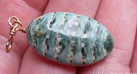Front of chiton shell pendant showing striped pattern and wire bail