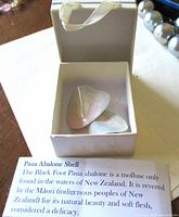 Earrings in original white box with information card visible
