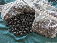 Multiple bags and loose dark brown wooden barrel beads displayed