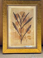 Full view of framed botanical print