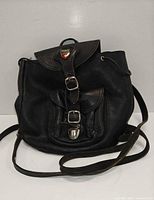 Front view showing Roots crest, flap, buckle closures