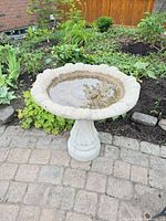 Front view of complete concrete bird bath in garden setting