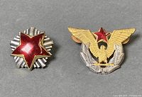 Front view of both cap badges