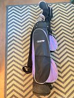 Full view of stand carry bag with clubs