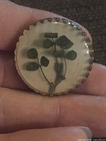 Front view of domed brooch showing clover inside