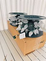 Two spools of clear faceted C9 string lights on box