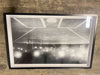 Front view of framed photograph showing image and frame