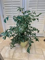 Full view of artificial plant showing height, leaf density, and yellow pot