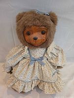 Front view of teddy bear in dress