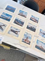 All eleven cream-bordered colour prints spread out on tabletop