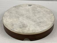 Top view of 14" Remo PTS frame drum showing head and wood-grain rim