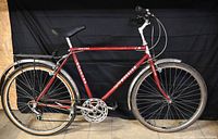 Full left side view of red Raleigh Safari bicycle with fenders and rear rack