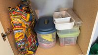 Cabinet view showing reusable tote, blue-lid tote, clear organizer, white trays and other contents