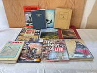 Group shot of all books laid out, showing variety and condition