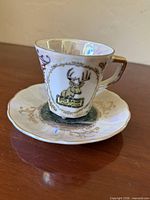 Teacup on saucer showing decal and gilt handle