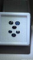 Five oval-cut blue sapphires displayed in gemstone case