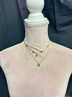Front view showing layered choker and longer necklace on mannequin