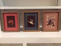 Three framed photographs displayed in a row on a white shelf, showing variety of mat colors and subject matter.