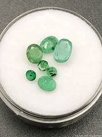 Seven emeralds displayed on white pad inside clear case