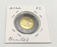 Reverse side with polar bear design in coin flip