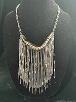 Full view of necklace on display bust