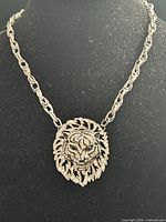 full view of necklace on display bust