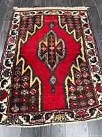 Full view of Hamadan rug showing red field, medallion, borders, fringe