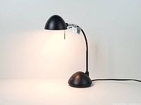 Lamp illuminated showing overall form and light output