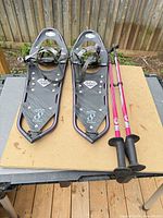 Snowshoes and poles full view on table