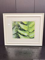 Front view of botanical framed print with white painted wood frame and double mat
