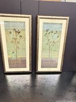 Both framed prints front view