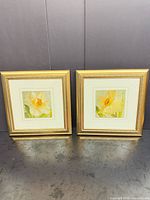 Both framed floral prints side by side