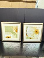 Both framed prints side by side