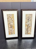 Full view of both framed prints standing side by side