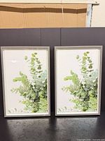 Pair of framed botanical prints front view
