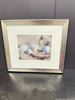 Front view showing seashell print, matting and silver metal frame