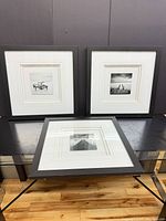 All three framed photographs displayed