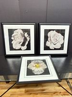 All three framed prints displayed together