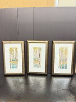 Full view of all three framed prints standing side by side