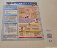 Front view of laminated Pediatric First Aid chart showing content layout and title